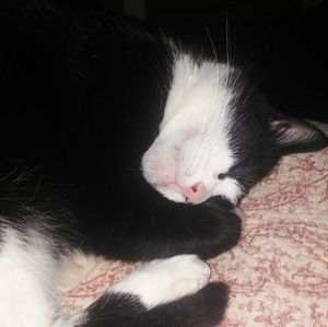 Meet your Posher, Lisa